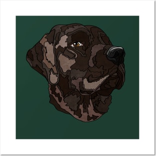 Chocolate Labrador Retriever Posters and Art